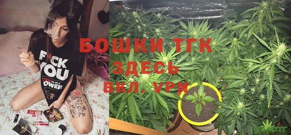 бошки Елизово