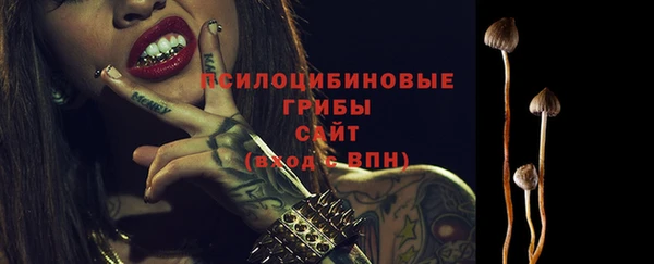 2c-b Ельня