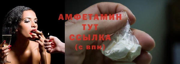2c-b Ельня