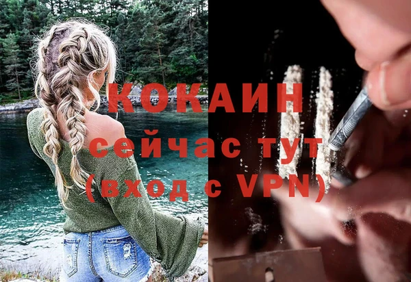 2c-b Ельня