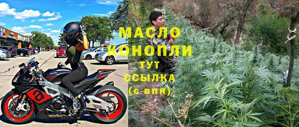 2c-b Ельня