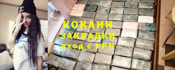 2c-b Ельня