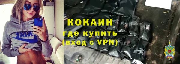 2c-b Ельня