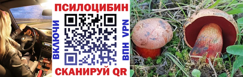 Галлюциногенные грибы мицелий Дудинка